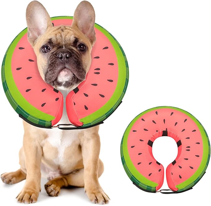 Dog Cone Collar for Small Medium Large Dogs for After Surgery, Pet Inflatable Neck Donut Collar Soft Protective Recovery Cone for Dogs and Cats - Alternative E Collar Does not Block Vision - Red,M MIDOG