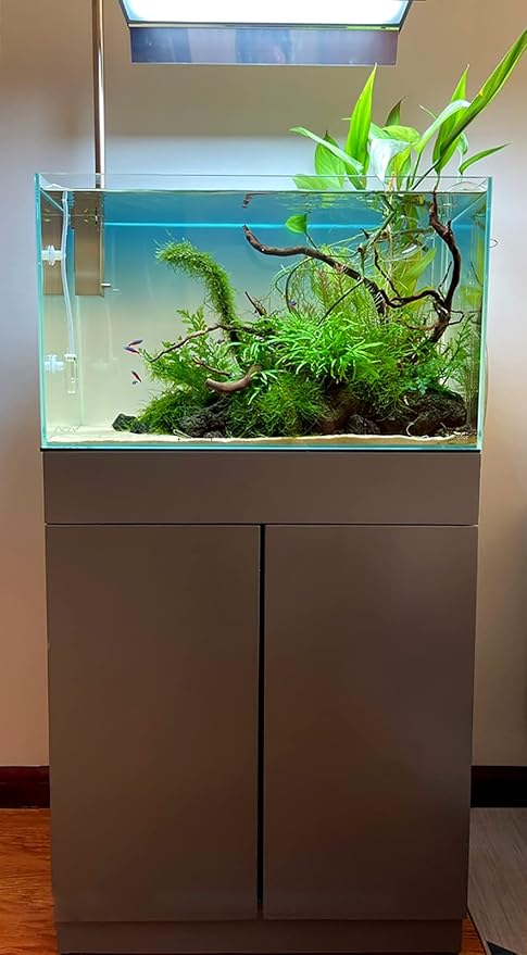 Ultra Clear Rimless Aquarium Tank 2-22 gallons Low Iron Glass (21Gal - Top Glass Canopy) Allcolor