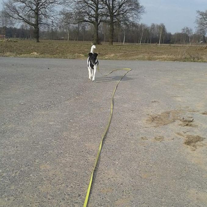 Long Leash Waterproof Training Longline Outdoor Dog Leash Great for Training, Beach, Yard, Play, Camping NIMBLE