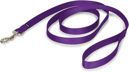 PetSafe Nylon Dog Leash – Strong, Durable, Traditional Style Leash with Easy to Use Bolt Snap – 3/4" x 6', Deep Purple PetSafe