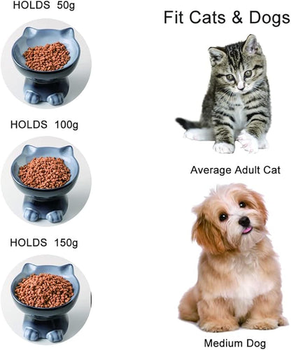Nihow Elevated Cat/Dog Bowls: 6.25 Inch Ceramic Raised Cat Food & Water Bowl Set for Protecting Pet's Spine - Feeding & Watering Supplies for Cat/Small Size Dog - Elegant Gray (6.8 OZ /1 PC) - PAWPICO