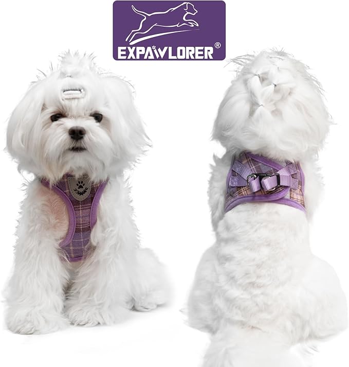 EXPAWLORER Classic Plaid Puppy Harness - Small Dog Harness and Leash Set - Dog Collar and Leash Set with AirTag Holder, Soft Padded Step in Dog Vest Harness No Pull Reflective for Outdoor, Purple S EXPAWLORER