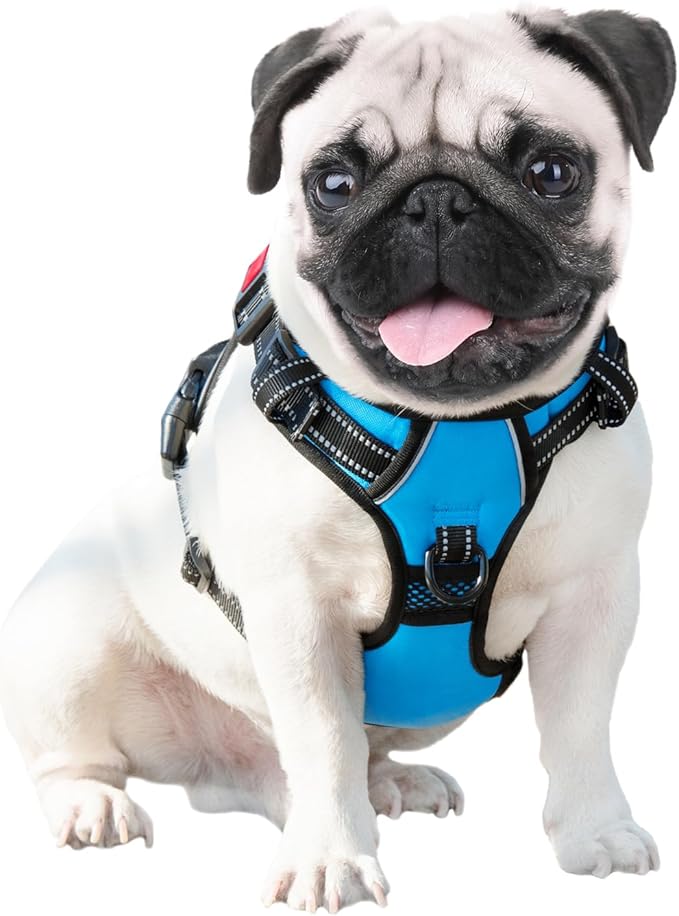 PHOEPET Reflective Dog Harness Large Breed Adjustable No Pull Vest with Handle 2 Metal Rings 3 Buckles [Easy to Put on & Take Off](L, Blue) - PAWPICO