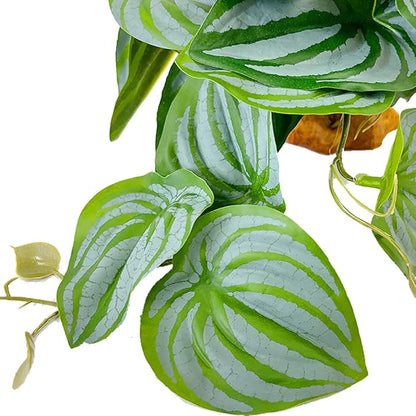 YOGURTCK Reptile Artificial Plants, Amphibian Habitat Hideout, Terrarium Decorations - Peperomia Watermelon YOGURTCK