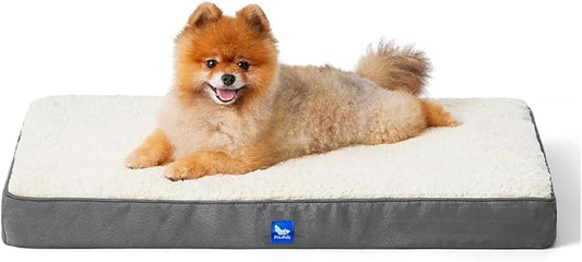 Orthopedic Dog Bed, Memory Foam Revisable Two Side with Washable Removable Cover, Small 20”x15” - PAWPICO