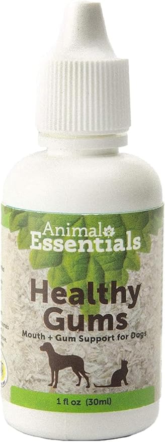 Animal Essentials Healthy Gums for Dogs & Cats - Dental Care, Mouth & Gum Support, Dental Drops, All Natural Pet Supplement, Oral Care - 1 Fl Oz AnimalEssentials