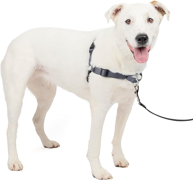 PetSafe Easy Walk Deluxe Dog Harness, No Pull Dog Harness – Perfect for Leash & Harness Training – Stops Pets from Pulling and Choking on Walks – Medium/Large, Steel PetSafe