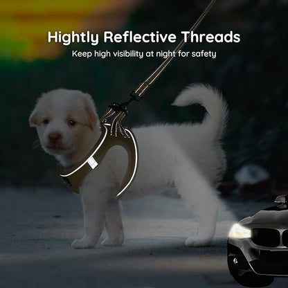 BELLA & PAL Puppy Harness with Leash Set, Dog Harness for Small Dogs No Pull, Dog Leash for Small Dogs, Step in Harness for Extra Small Dogs, Khaki Harness, XS BELLAPAL