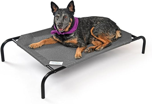 Coolaroo The Original Cooling Elevated Dog Bed, Indoor and Outdoor, Medium, Gunmetal - PAWPICO