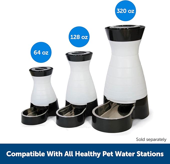 PetSafe Healthy Pet Water Filter, for Healthy Pet Water Station for Dogs and Cats - PAWPICO