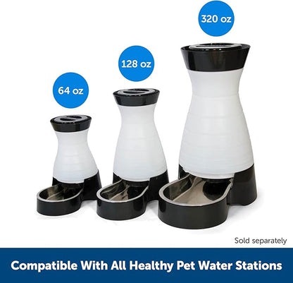 PetSafe Healthy Pet Water Filter, for Healthy Pet Water Station for Dogs and Cats - PAWPICO