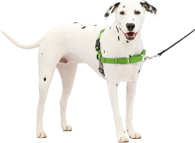 PetSafe Easy Walk No-Pull Dog Harness - The Ultimate Harness to Help Stop Pulling - Take Control & Teach Better Leash Manners - Helps Prevent Pets Pulling on Walks, Medium/Large, Apple Green/Gray PetSafe
