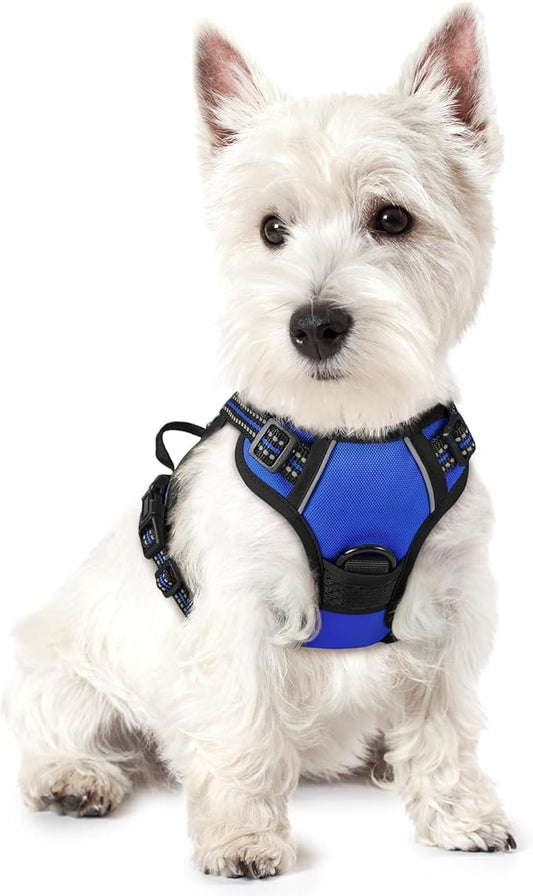 rabbitgoo Dog Harness No Pull with 2 Leash Clips, Adjustable Soft Padded, Reflective Oxford No Choke Pet Vest with Easy Control Handle for Puppy, Dazzling Blue,XS rabbitgoo