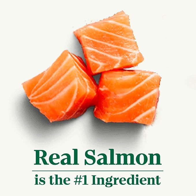 Nutro Natural Choice Small Bites Adult Dry Dog Food, Salmon & Brown Rice Recipe, 28 lb. Bag - PAWPICO