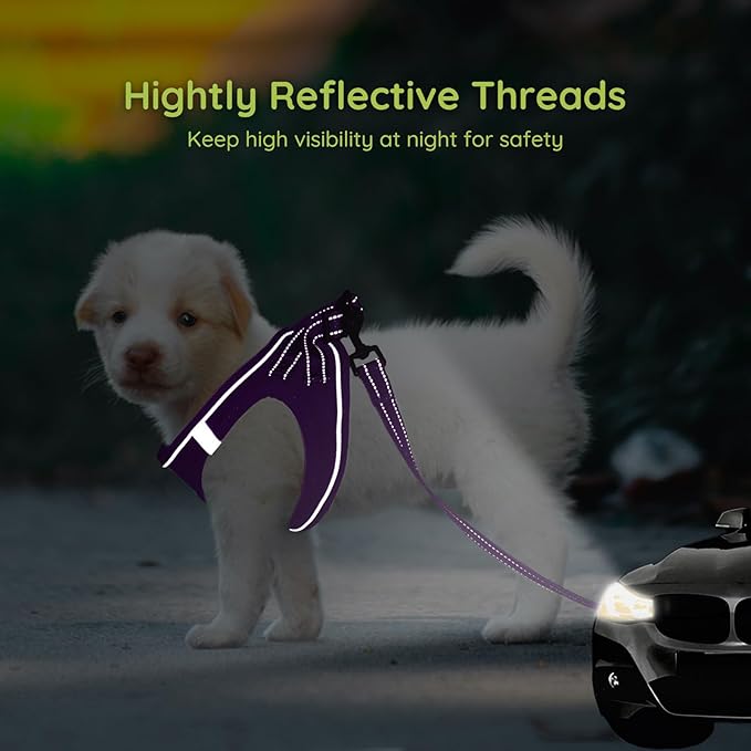 BELLA & PAL Puppy Harness with Leash Set, Dog Harness for Small Dogs No Pull, Dog Leash for Small Dogs, Step in Harness for Extra Small Dogs, Deep Purple Harness, XS BELLAPAL