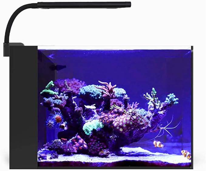 CURRENT Orbit Marine NANO LED 16 Watt Reef LED Saltwater Marine Aquarium Coral Light with Dimming, Moonlight, Cloud Cover & Lighting Storm Clip On Small Fish Tank w/Mounting Bracket (4095) Current+USA