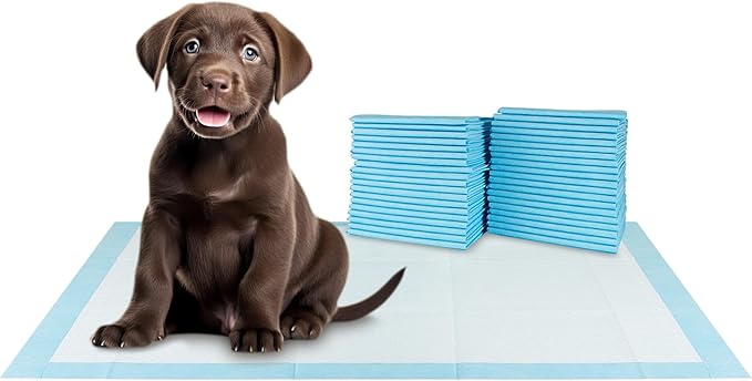 BV XXL Puppy Pads XX-Large Leak-Proof 30"x36" [20CT] | Pee Pads for Dogs Ultra Absorbent - Dog Pee Pads, Dog Pads, Potty Pads for Dogs, Training Pads for Dogs, Dog Pad for Cat, Rabbit, Guinea Pig - PAWPICO