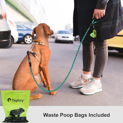 Taglory Rope Dog Leash 6 FT with Comfortable Padded Handle, Highly Reflective Threads Leash for Small Dogs, 3/8 inch, Turquoise Taglory