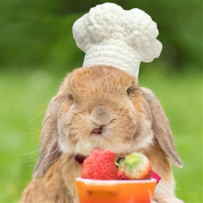 Guinea Pig Chef Hat - Hand Knitted Small Animal Cooking Chef Cap with Adjustable Strap Halloween Costume Outfit Prop Clothes Accessories for Rabbit Bunny Chinchilla Kitten Puppy (Medium) SEZDEKI