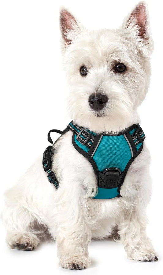 rabbitgoo Dog Harness No Pull with 2 Leash Clips, Adjustable Soft Padded, Reflective Oxford No Choke Pet Vest with Easy Control Handle for Puppy, Teal, XS rabbitgoo