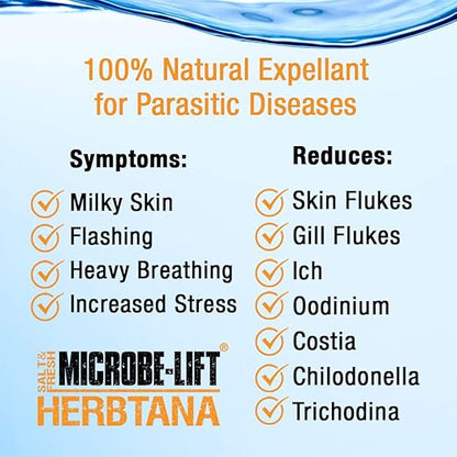MICROBE-LIFT HERB16 Herbtana Immune Booster and Natural Parasite Remover for Freshwater and Saltwater Home Aquariums and Fish Tanks, 16 Ounces Microbe-Lift