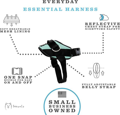ShawnCo Essential Dog Harness, No-Pull Pet Vest with 3 Leash Clips, No Choke, Reflective, Adjustable and Padded, for Easy Walking and Training for Small, Medium and Large Dogs (Seafoam, XS) SHAWNCO