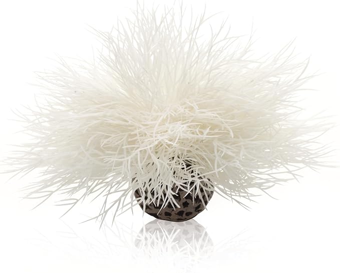 biOrb Sea Lily White biOrb