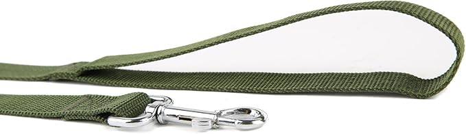 Nylon Dog Training Leash, Traction Rope, 4Ft /5 Foot /6 Feet Long, 5/8 inch 3/4 Inch 1 Inch Wide, for Small and Medium Dogs (Green, 1'' x 15 FT) - PAWPICO