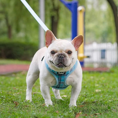 PUPTECK Soft Mesh Dog Harness and Leash Set Pet Puppy Cat Comfort Padded Vest No Pull Harnesses, Light Blue, L PUPTECK