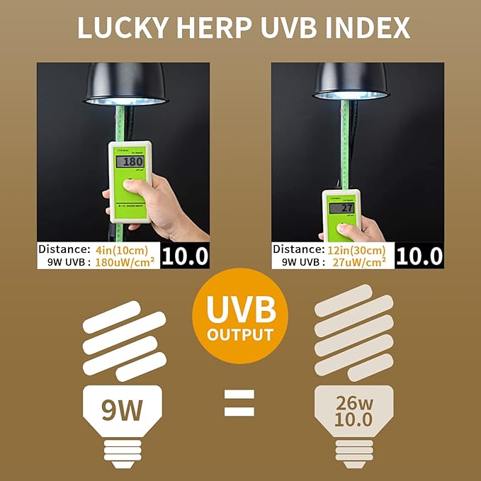LUCKY HERP Mini UVA UVB Reptile Light 10.0 9W, UVB Bulb for All Desert Dwelling Reptiles, Compact Fluorescent Reptile UVB Bulb for Turtle, Bearded Dragon, Lizard, Gecko etc. LUCKYHERP