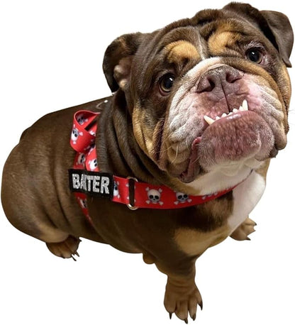 BULLHUG Harness – Made for Larger Chested Dogs Like English Bulldogs, French Bulldogs, Pugs & More. Stops Dogs from Pulling & Choking on Walks (Skull, XL) BULLHUG