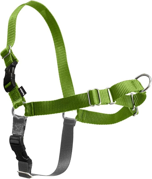 PetSafe Easy Walk No-Pull Dog Harness - The Ultimate Harness to Help Stop Pulling - Take Control & Teach Better Leash Manners - Helps Prevent Pets Pulling on Walks, Medium, Apple Green/Gray PetSafe
