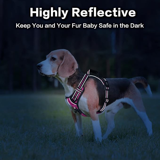PoyPet No Pull Dog Harness, No Choke Front Clip Reflective Dog Vest with Soft Padded Vertical Handle, 3 Leash Attachments for Small Medium Large Dogs (Pink,L) PoyPet