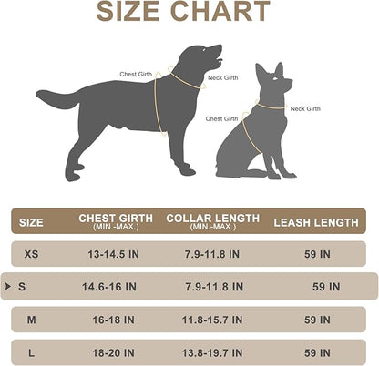 EXPAWLORER Classic Plaid Puppy Harness - Dog Collar and Leash - Soft Mesh Padded Adjustable Step in Small Dog Vest Harness No Pull, Reflective Escape Proof for Outdoor Walking, Grey Small EXPAWLORER