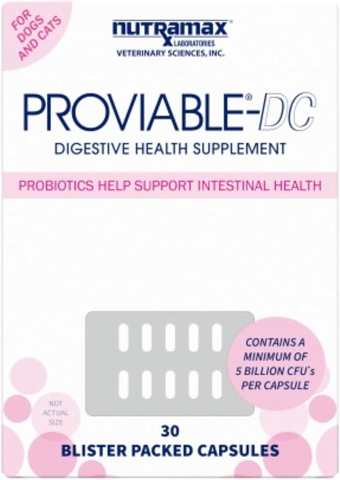 Nutramax Proviable Digestive Health Supplement Multi-Strain Probiotics and Prebiotics for Cats and Dogs - With 7 Strains of Bacteria, 30 Capsules NutramaxLaboratories