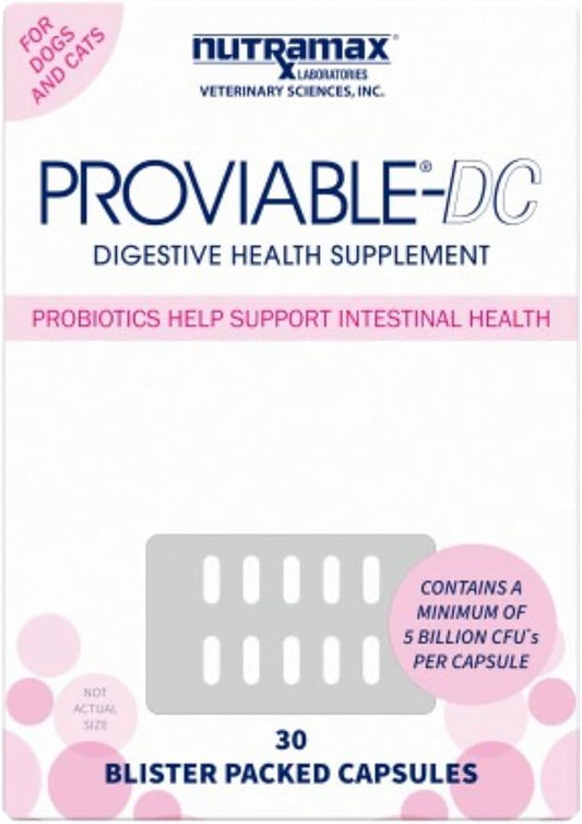 Nutramax Proviable Digestive Health Supplement Multi-Strain Probiotics and Prebiotics for Cats and Dogs - With 7 Strains of Bacteria, 30 Capsules NutramaxLaboratories