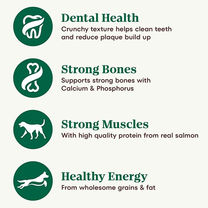 Nutro Natural Choice Small Bites Adult Dry Dog Food, Salmon & Brown Rice Recipe, 28 lb. Bag - PAWPICO