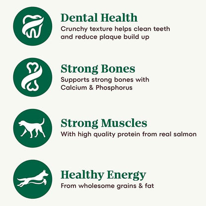 Nutro Natural Choice Small Bites Adult Dry Dog Food, Salmon & Brown Rice Recipe, 28 lb. Bag - PAWPICO