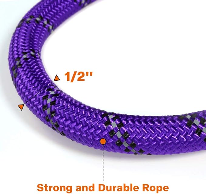 Taglory Rope Dog Leash 5 FT with Comfortable Padded Handle, Highly Reflective Threads Leash for Medium Large Dogs, 1/2 inch, Purple Taglory
