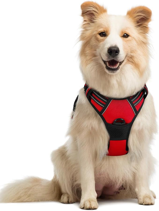 rabbitgoo Dog Harness No Pull with 2 Leash Clips, Adjustable Soft Padded, Reflective Oxford No Choke Pet Vest with Easy Control Handle for Medium Sized Dogs, Red, M rabbitgoo
