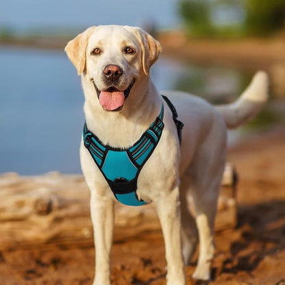 rabbitgoo Dog Harness No Pull with 2 Leash Clips, Adjustable Soft Padded, Reflective Oxford No Choke Pet Vest with Easy Control Handle for Large Dogs, Teal, XL rabbitgoo
