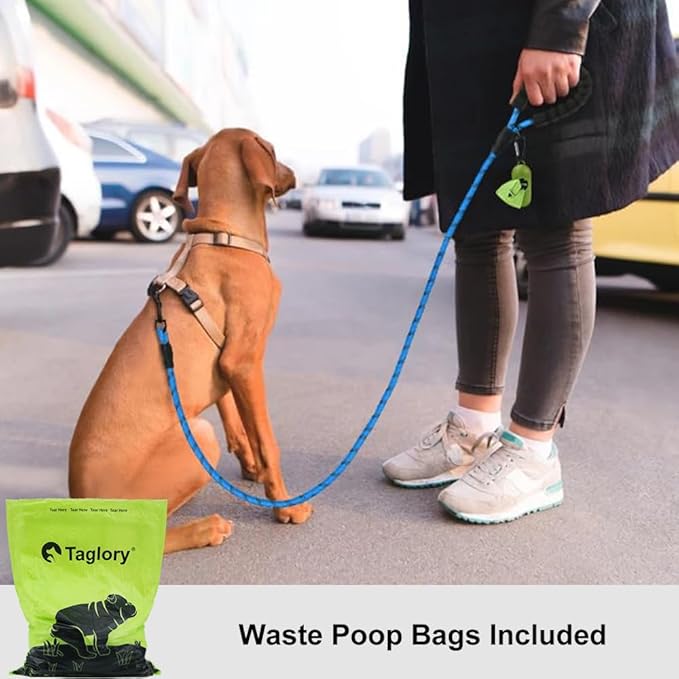 Taglory Rope Dog Leash 6FT with Comfortable Padded Handle, Highly Reflective Threads Leash for Small Dogs, 3/8 inch, Blue Taglory