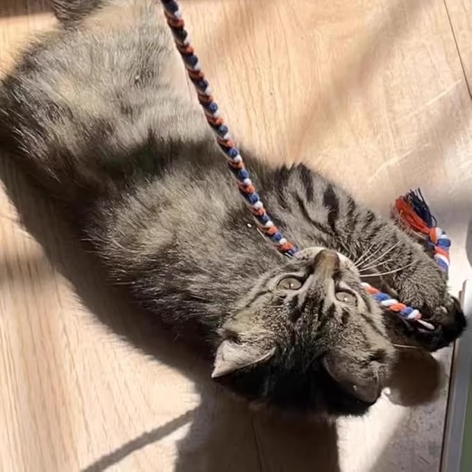 IUHKBH Cat Wands, 4 PCS Colorful Rope Cat Toys Interactive Cat Teaser Wands with Bell for All Breed Sizes - PAWPICO