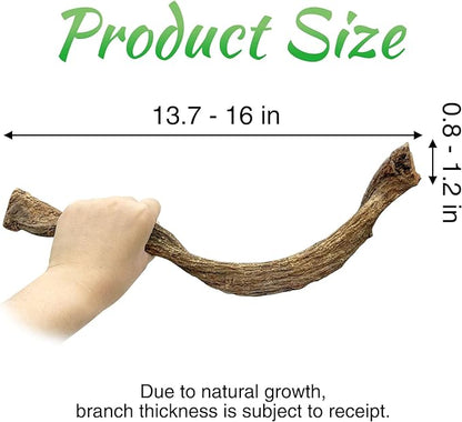 Reptile Branch Decor Snake Climbing Wood Branches Lizard Habitat Decorations Terrarium Wooden Tree Trunk Ornament for Bearded Dragon Snake Geckos Chameleon Frog 4 Pcs (14-16 inch) Apatal