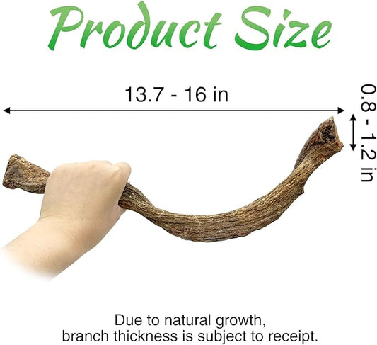 Reptile Branch Decor Snake Climbing Wood Branches Lizard Habitat Decorations Terrarium Wooden Tree Trunk Ornament for Bearded Dragon Snake Geckos Chameleon Frog 4 Pcs (14-16 inch) Apatal