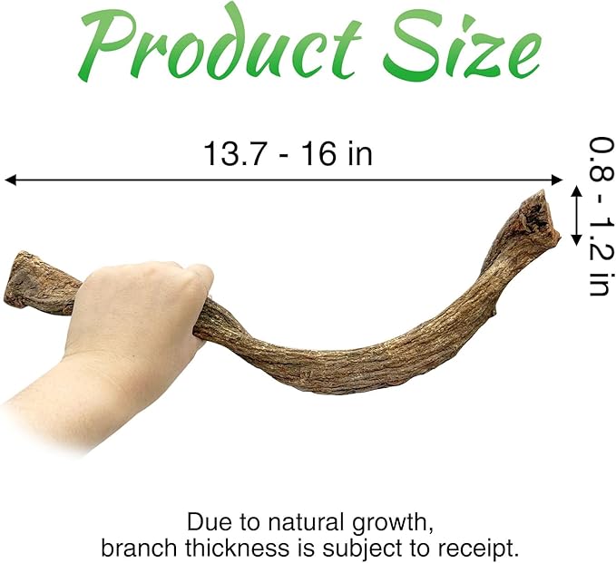 Reptile Branch Decor Snake Climbing Wood Branches Lizard Habitat Decorations Terrarium Natural Forest Tree Trunk Ornament for Bearded Dragon Geckos Chameleon Frog 6 Pcs - S Apatal