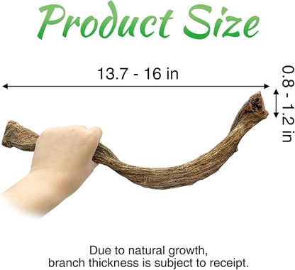 Reptile Branch Decor Snake Climbing Wood Branches Lizard Habitat Decorations Terrarium Natural Forest Tree Trunk Ornament for Bearded Dragon Geckos Chameleon Frog 6 Pcs - S Apatal