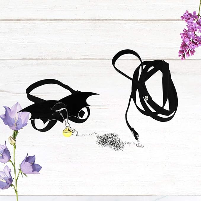 POPETPOP Turtle Harness and Leash Set : Tortoise Harness Strap with Wings Adjustable Collar Leash Walking Control Rope Great for Turtle (Black M) POPETPOP