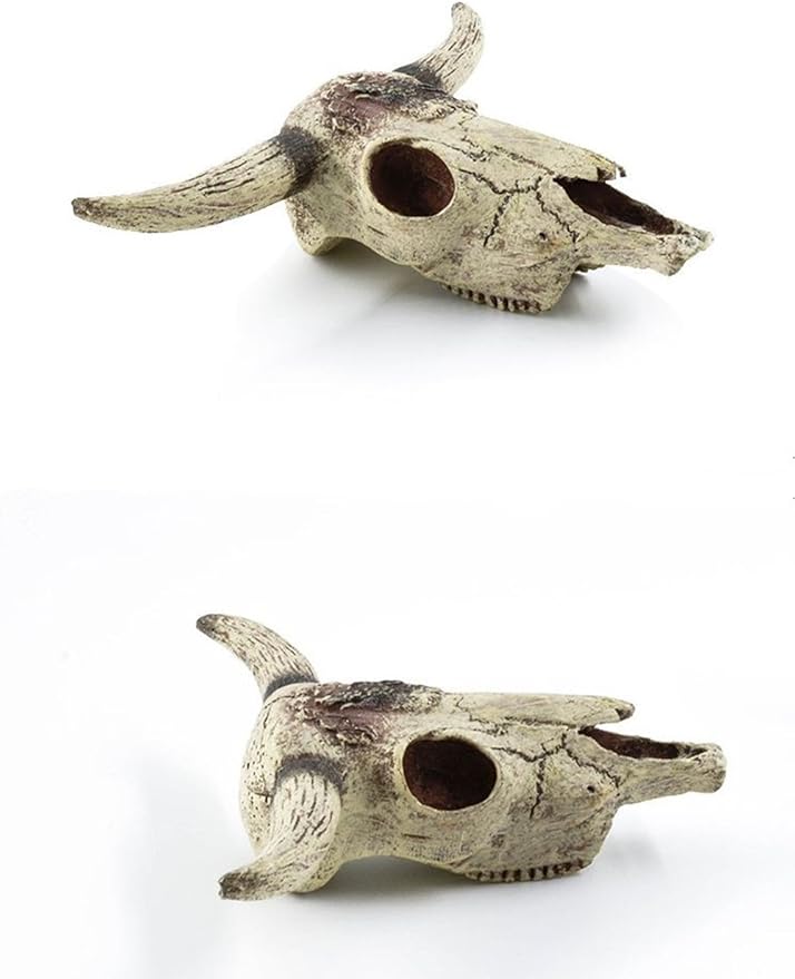 Leoyoubei Aquarium Decoration, Fish Tank Small Skull,Fish Turtle Hidden, Bonsai beautification. Cave Landscape Pet Reptile House Shrimps & Snails Love Them (Cattle Skull) Leoyoubei
