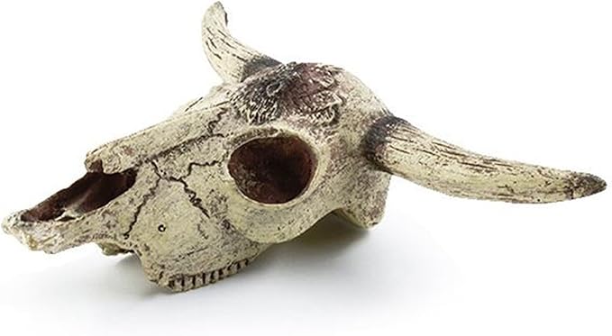 Leoyoubei Aquarium Decoration, Fish Tank Small Skull,Fish Turtle Hidden, Bonsai beautification. Cave Landscape Pet Reptile House Shrimps & Snails Love Them (Cattle Skull) Leoyoubei